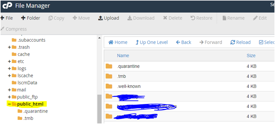 show .all files in cPanel