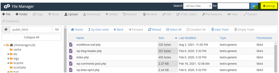 make hidden file visible in cPanel