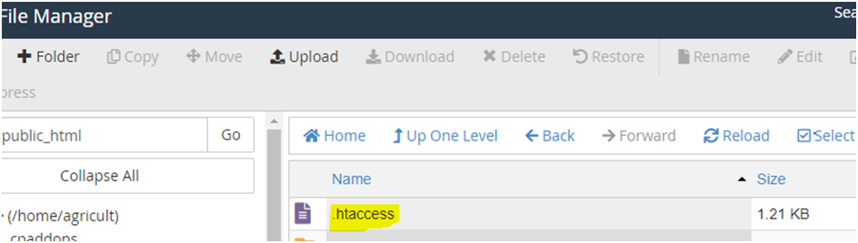 How to show .htaccess file in cPanel